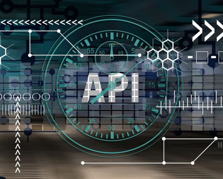 API Business Schema Environment