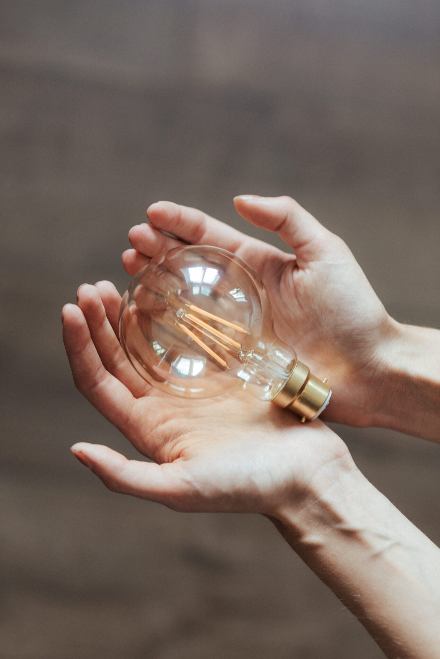 Bulb Idea Path Success