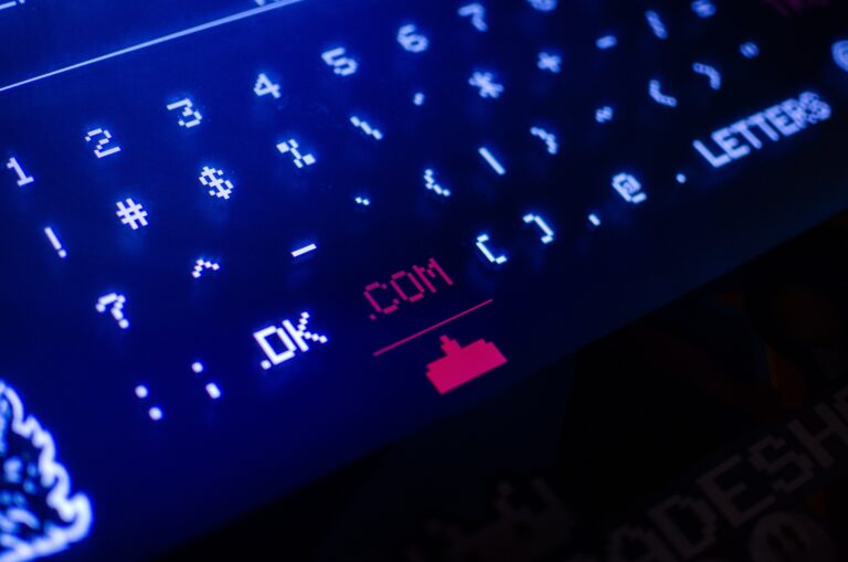 Rejestr domen internetowych Sailing Byte