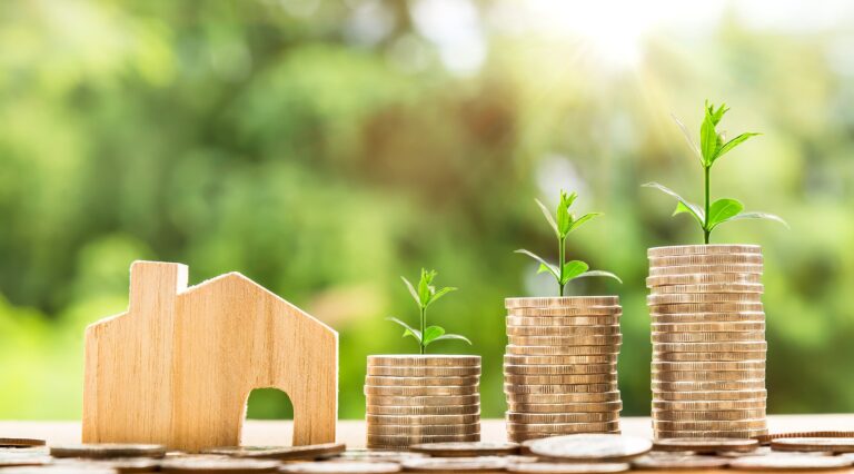 Software House Pricing Models